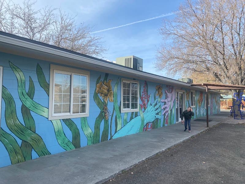 Rural Nevada Counseling