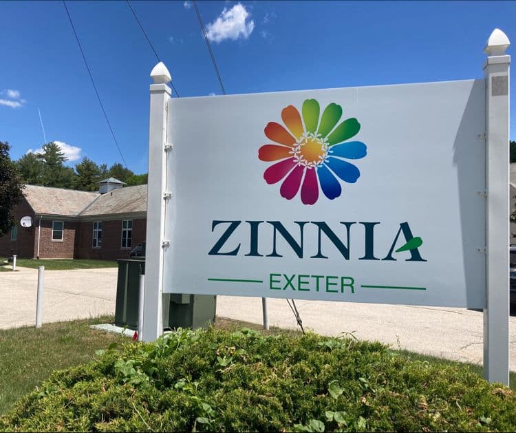 Zinnia Exeter